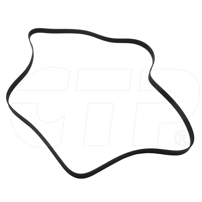 1974567  CAT Serpentine Belt