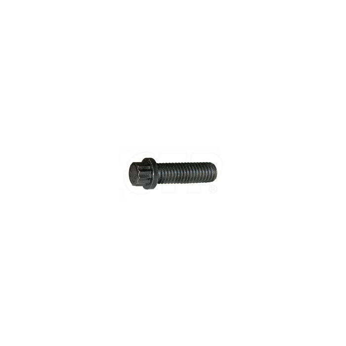 1T0720  CAT Bolt-12 Point Hea